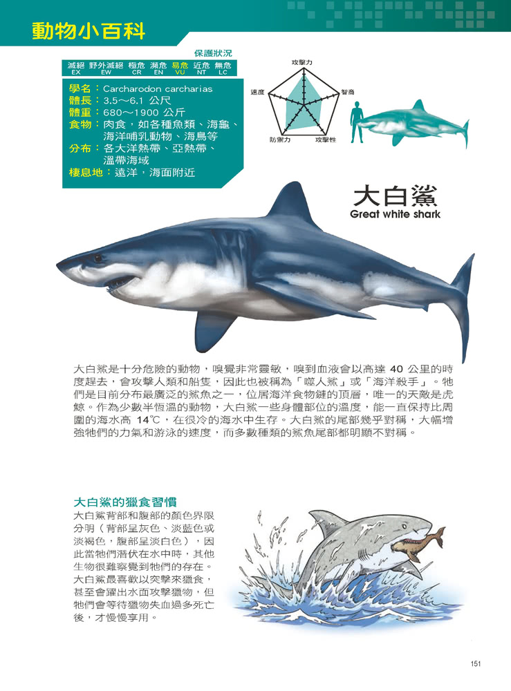 Ｘ萬獸探險隊：（3） 海洋爭霸戰 大白鯊VS旗魚（附學習單）