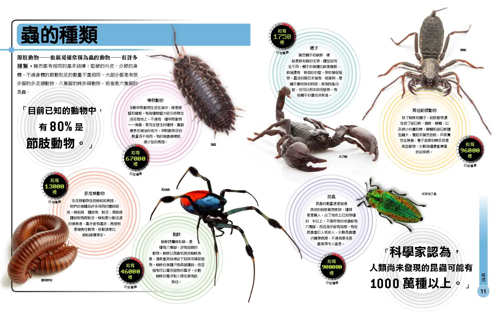 超能力昆蟲百科 地球上最大 最快 最致命的昆蟲與節肢動物 Momo購物網