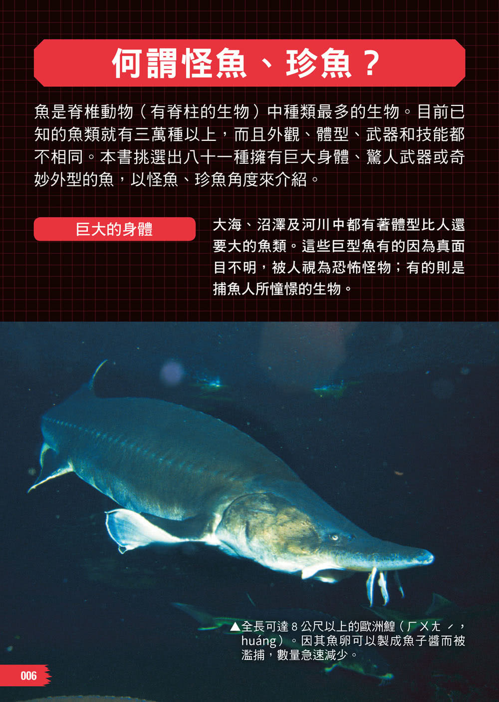 怪魚珍魚大百科：用鰾呼吸、用鰭走路、泳速可達每小時100公里，嚇！牠們真的是魚嗎？