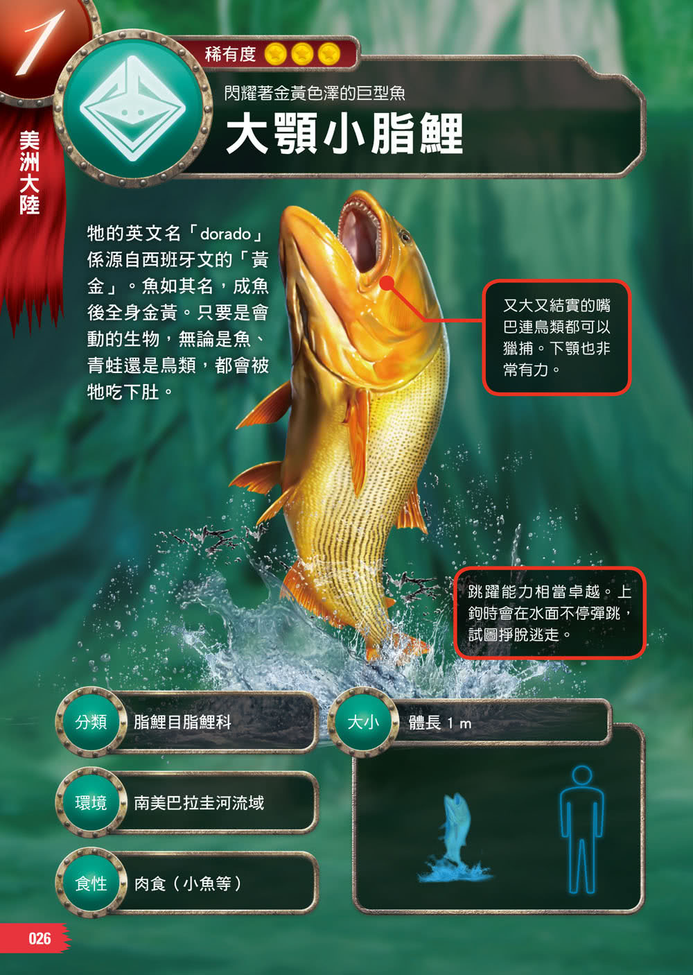 怪魚珍魚大百科 用鰾呼吸 用鰭走路 泳速可達每小時100公里 嚇 牠們真的是魚嗎 Momo購物網