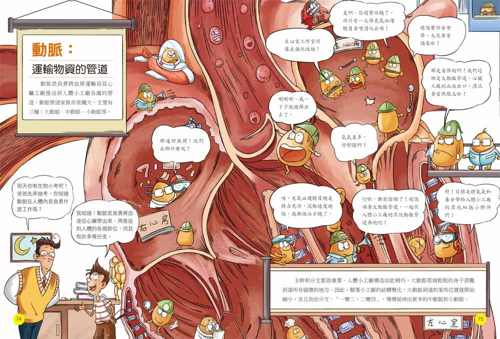 人體工廠大探索：圖解血液循環系統