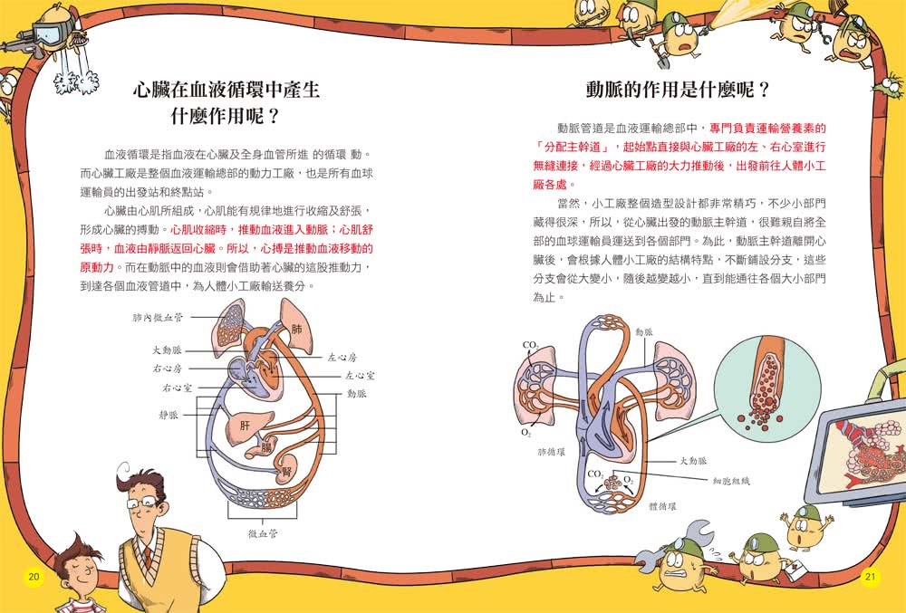 人體工廠大探索：圖解血液循環系統