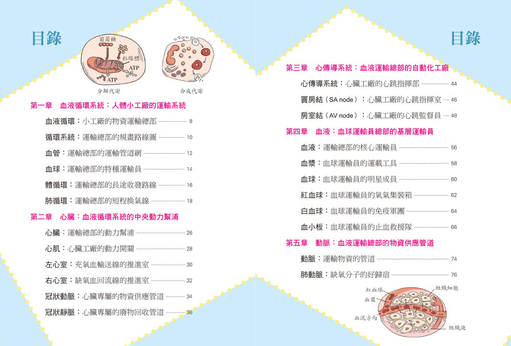 人體工廠大探索：圖解血液循環系統