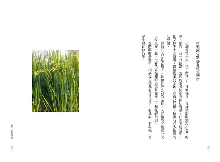 歲月靜好：蔣勳 日常功課（隨書附贈：蔣勳朗讀四季節氣）