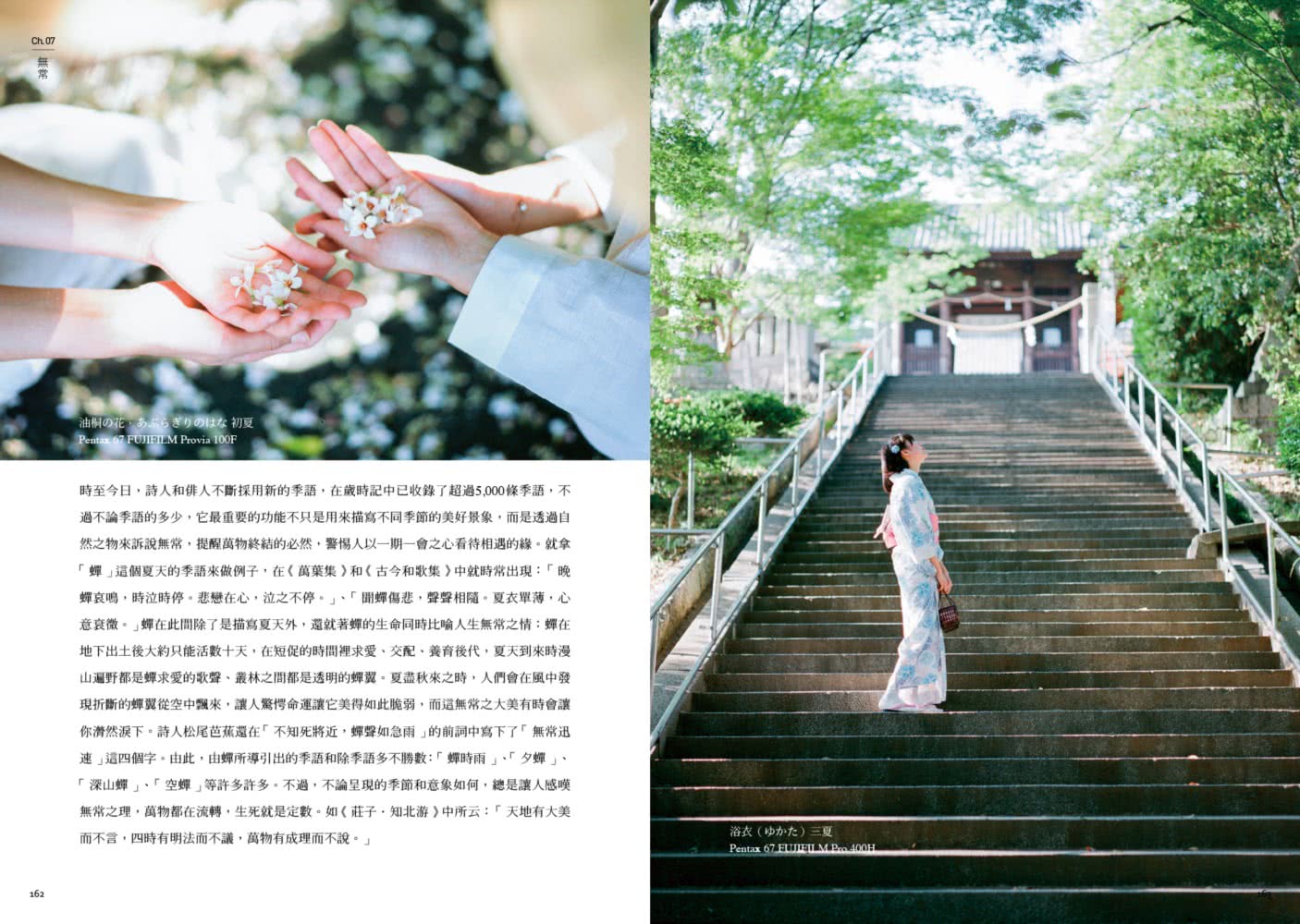 日系攝影 探究日本美學的表現與本質 Momo購物網