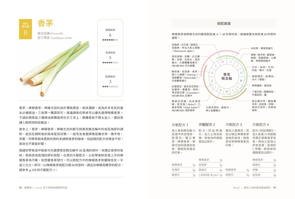 娜娜媽×Aroma手工皂精油調香研究室：70支最適合入皂的精油、200+香氛配方、23款造型皂&短時透明皂 做出