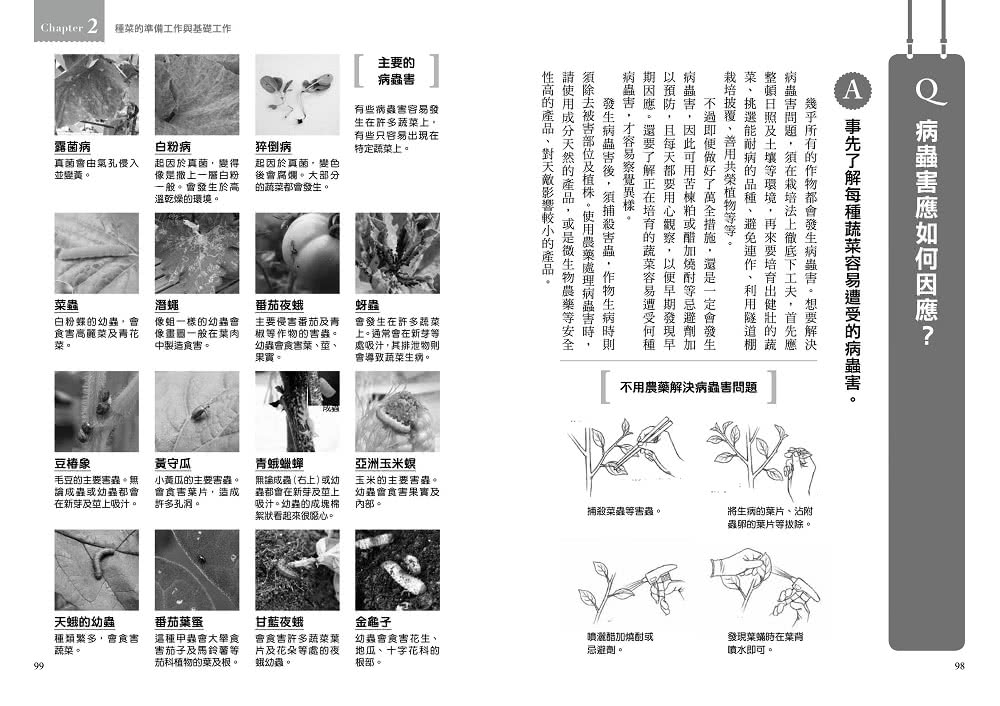 種菜的趣味科學：120則最實用的種菜QA × 超過400張圖解 破解種菜豐收、美味的關鍵