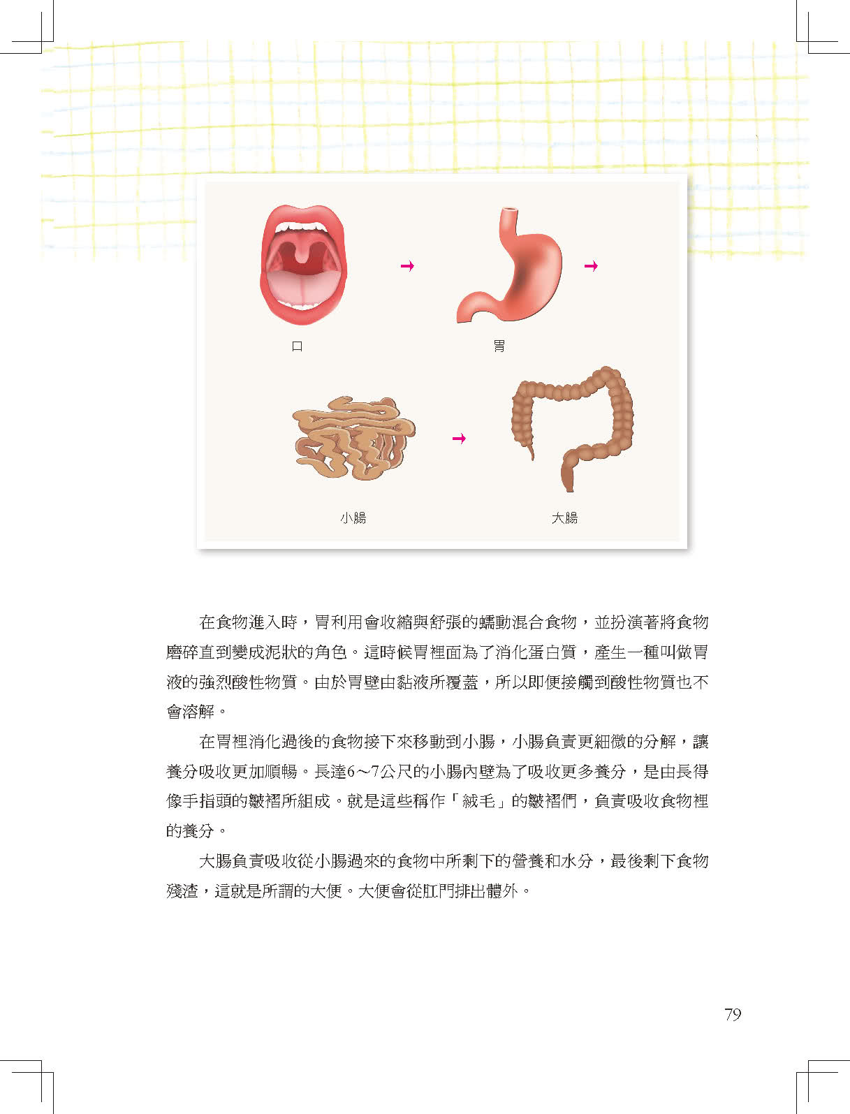 爆笑科學王4：精神被消化了