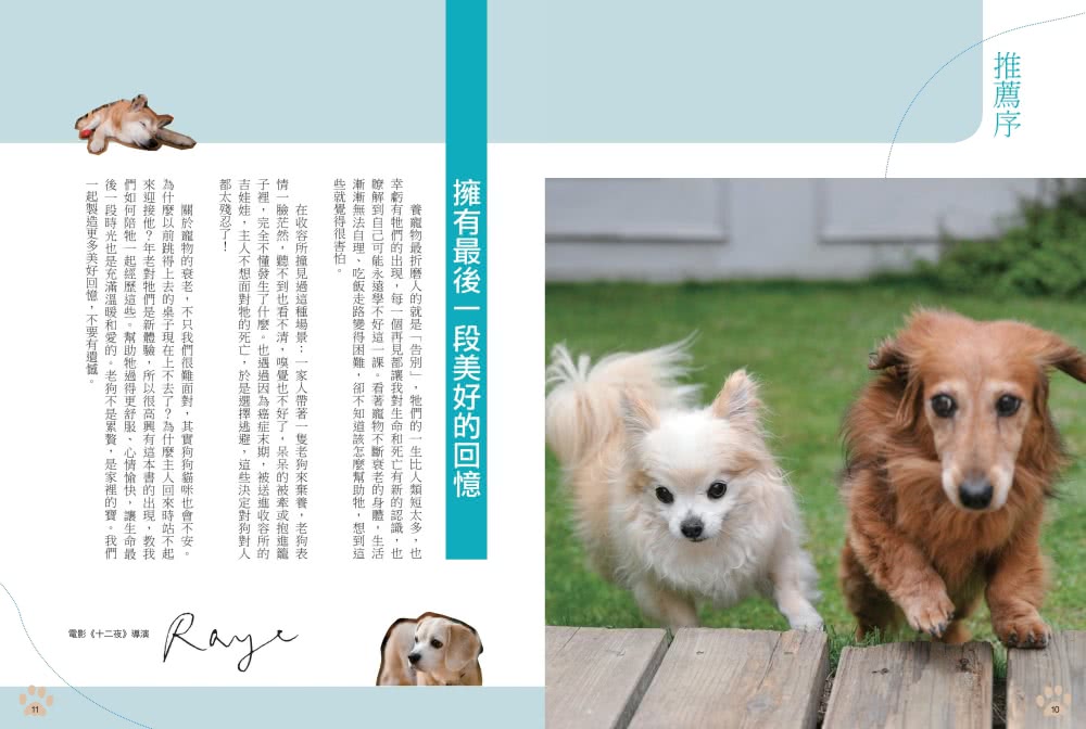 老犬生活完全指南：史上最完備、最專業的高齡犬居家照護全書？