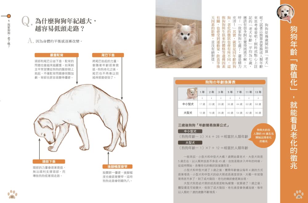 老犬生活完全指南：史上最完備、最專業的高齡犬居家照護全書？