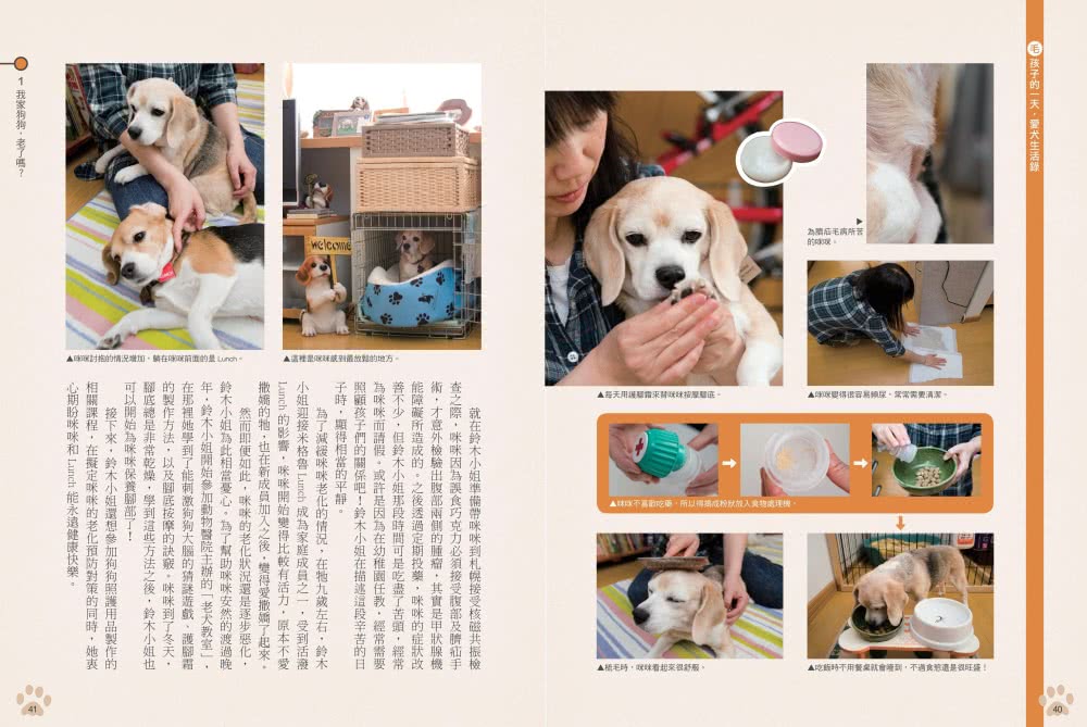 老犬生活完全指南：史上最完備、最專業的高齡犬居家照護全書？