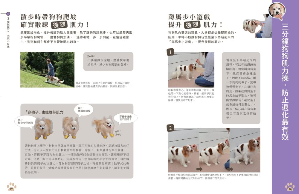 老犬生活完全指南：史上最完備、最專業的高齡犬居家照護全書？