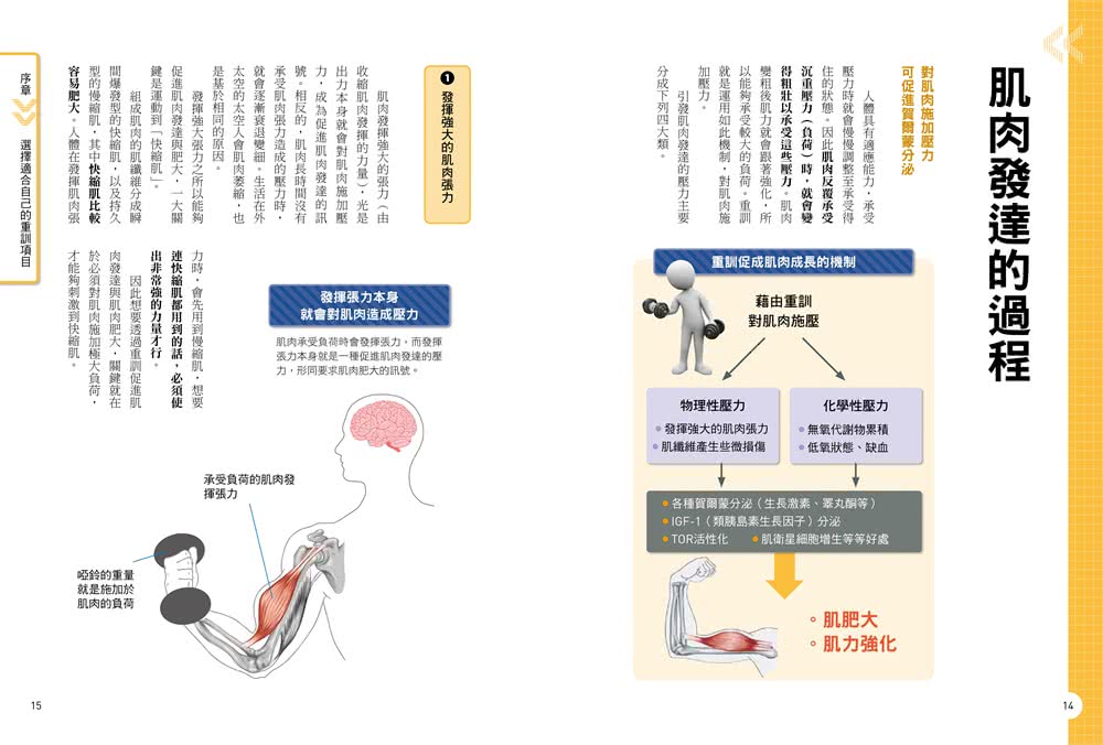 健身新手重訓攻略：槓片啞鈴×阻力帶×健身器材，新手必學的五大重訓，教你正確施力、精準增肌