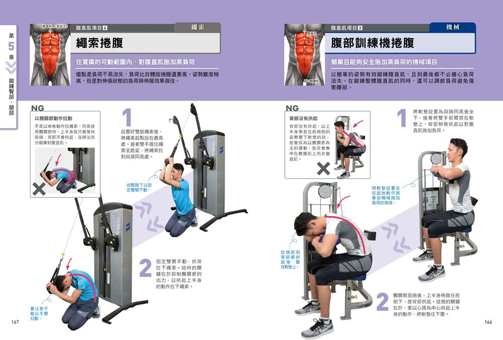 健身新手重訓攻略：槓片啞鈴×阻力帶×健身器材，新手必學的五大重訓，教你正確施力、精準增肌