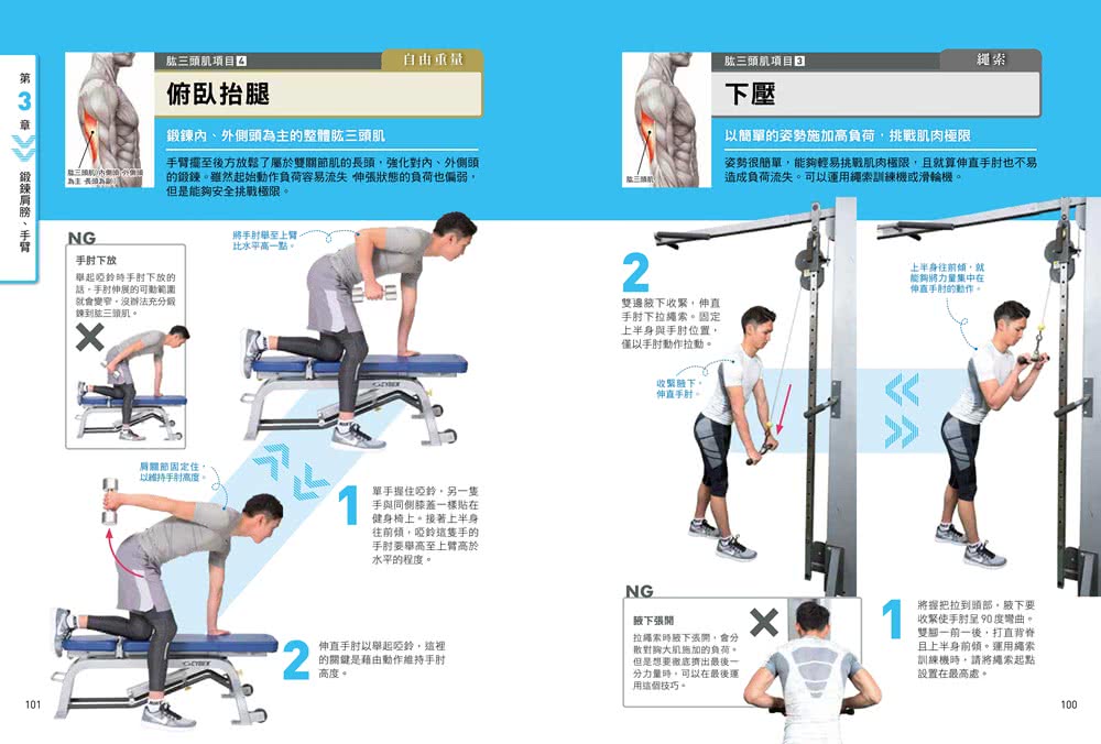 健身新手重訓攻略：槓片啞鈴×阻力帶×健身器材，新手必學的五大重訓，教你正確施力、精準增肌