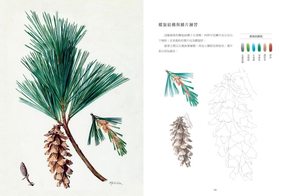歐洲百年經典植物繪【隨書送超大幅海報】：48種手繪植物名畫的細微觀察與作畫祕訣