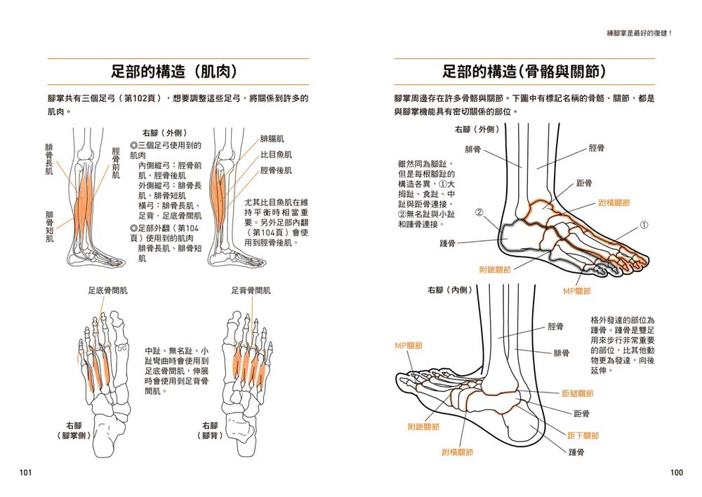 練腳掌是最好的復健！：三萬人親身實證 鍛鍊腳掌有助運動傷害回復、舒緩關節痛、擺脫足