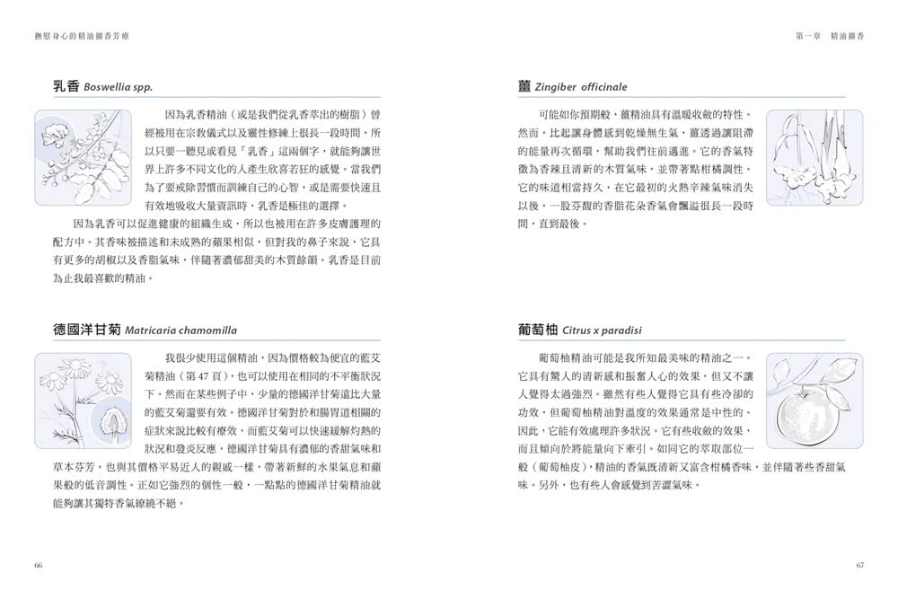 撫慰身心的精油擴香芳療：64種基礎精油×160種擴香配方，改善焦慮、疲勞、過敏、頭痛等200種身心問題