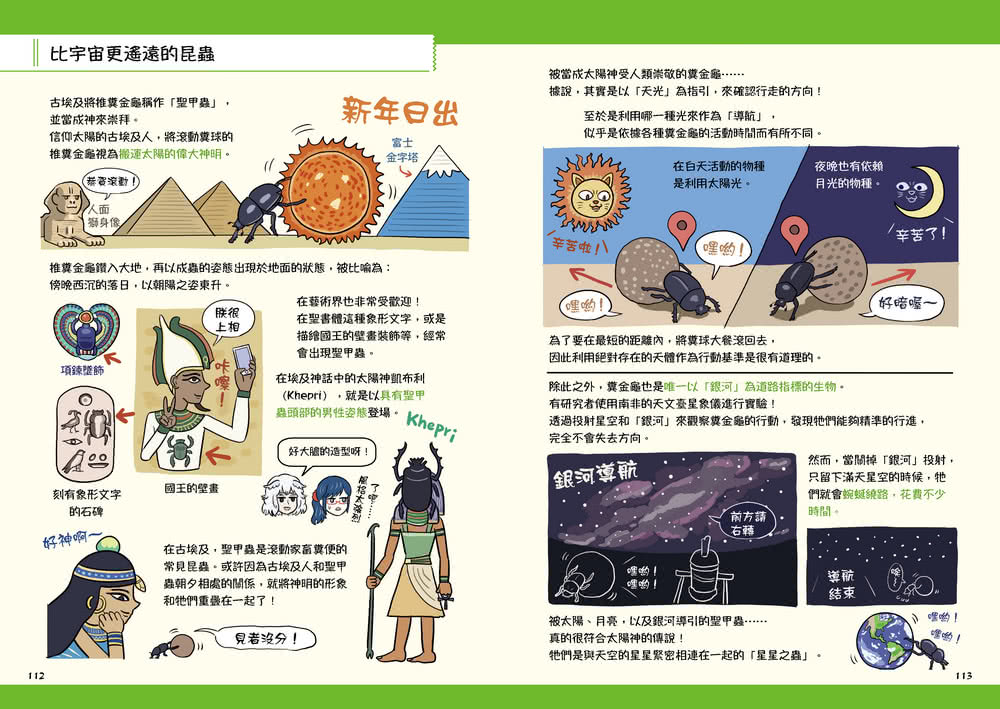 不可思議的昆蟲超變態！圖鑑