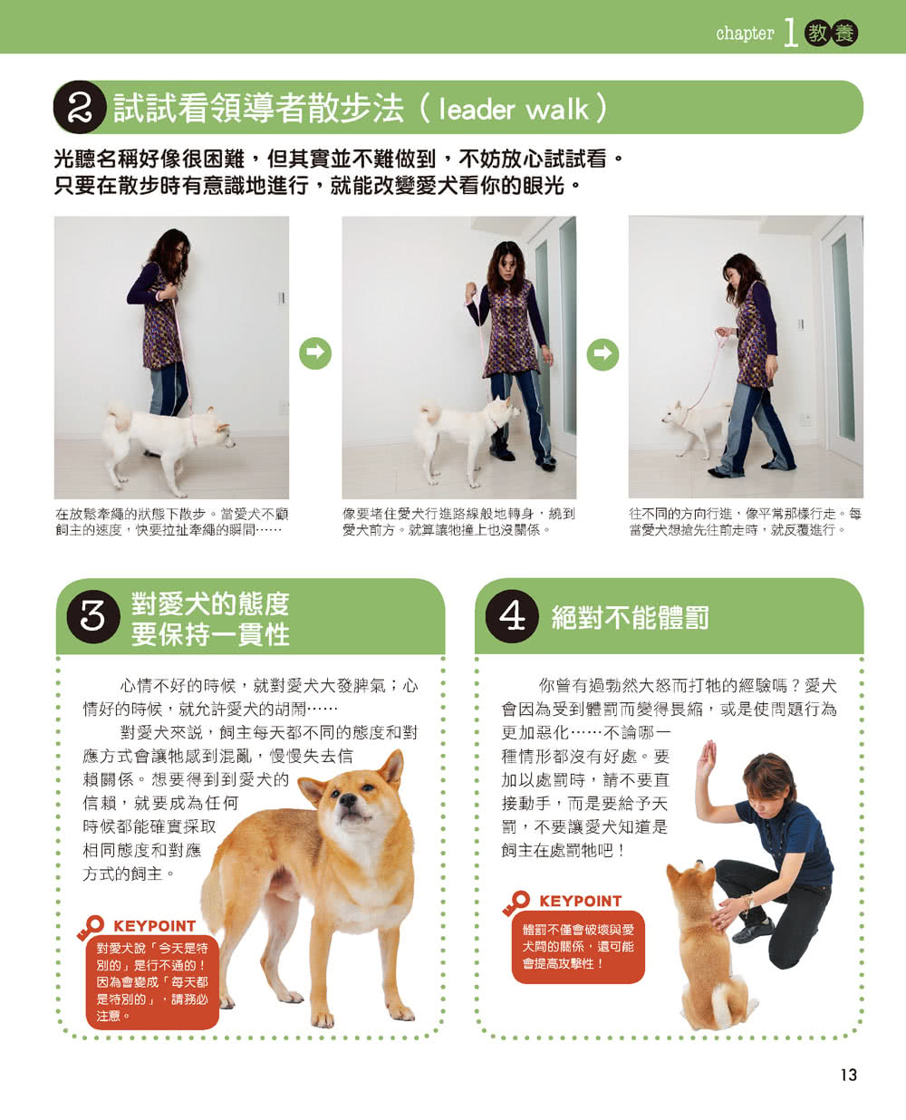 柴犬的調教與飼養法（暢銷版）