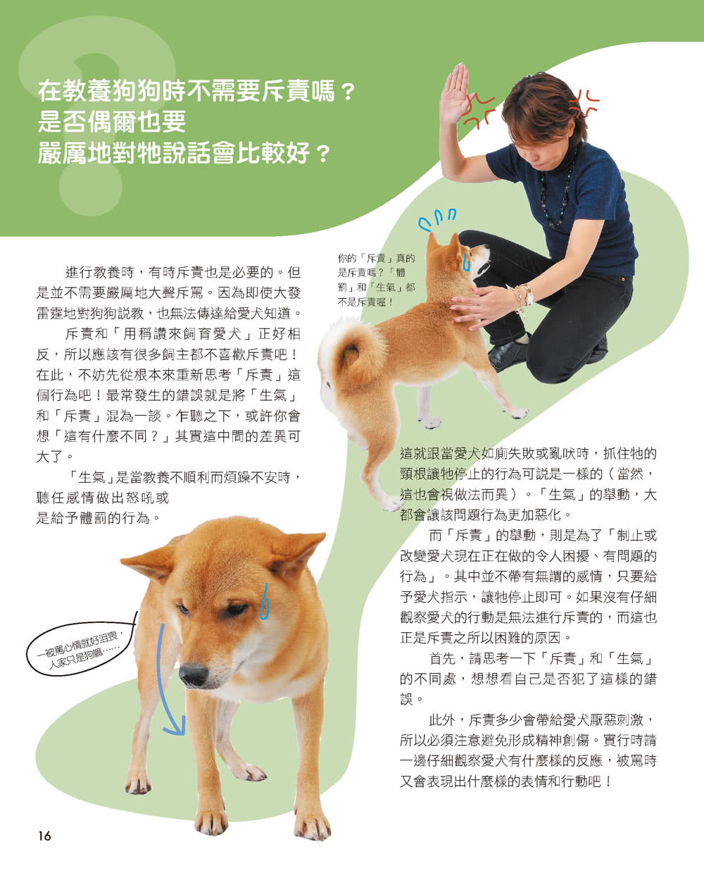 柴犬的調教與飼養法（暢銷版）