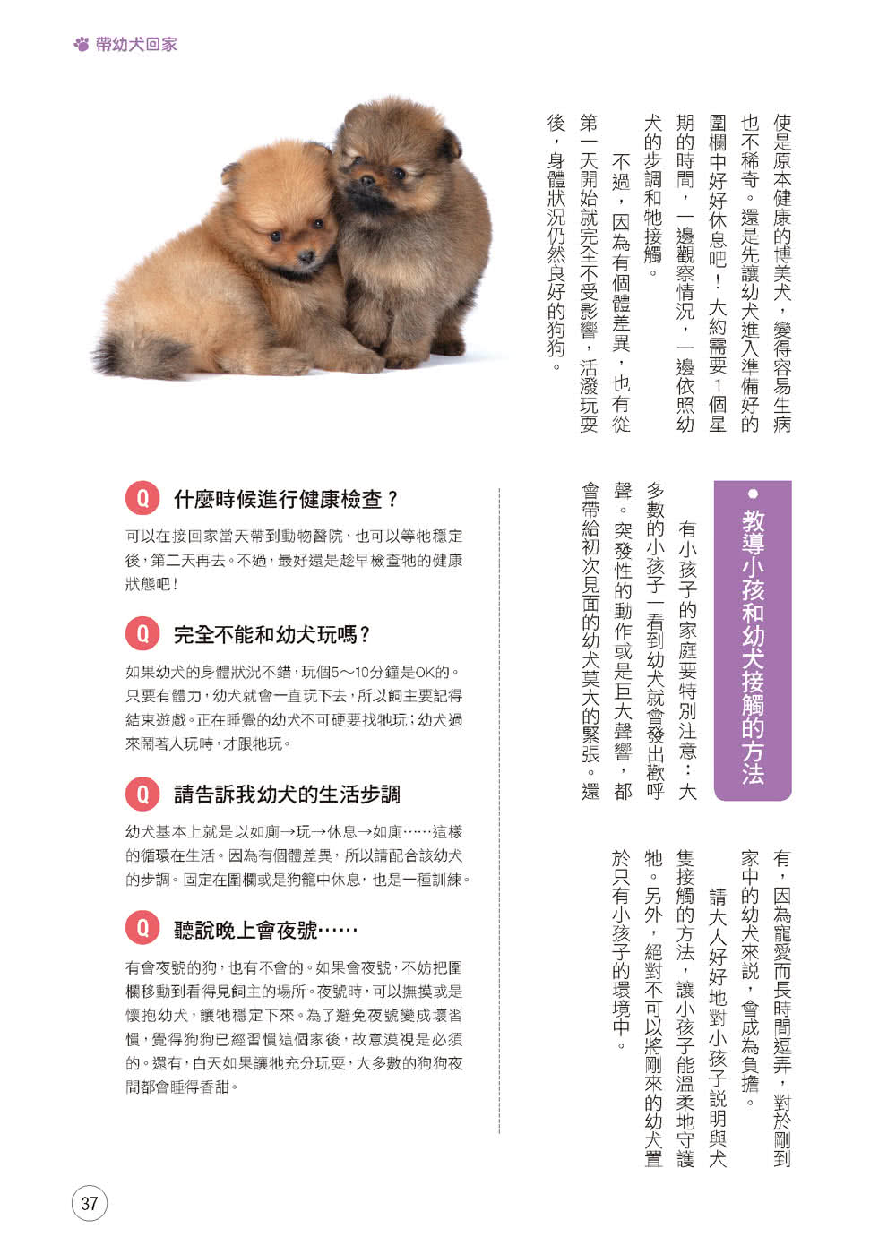 博美犬的快樂飼養法