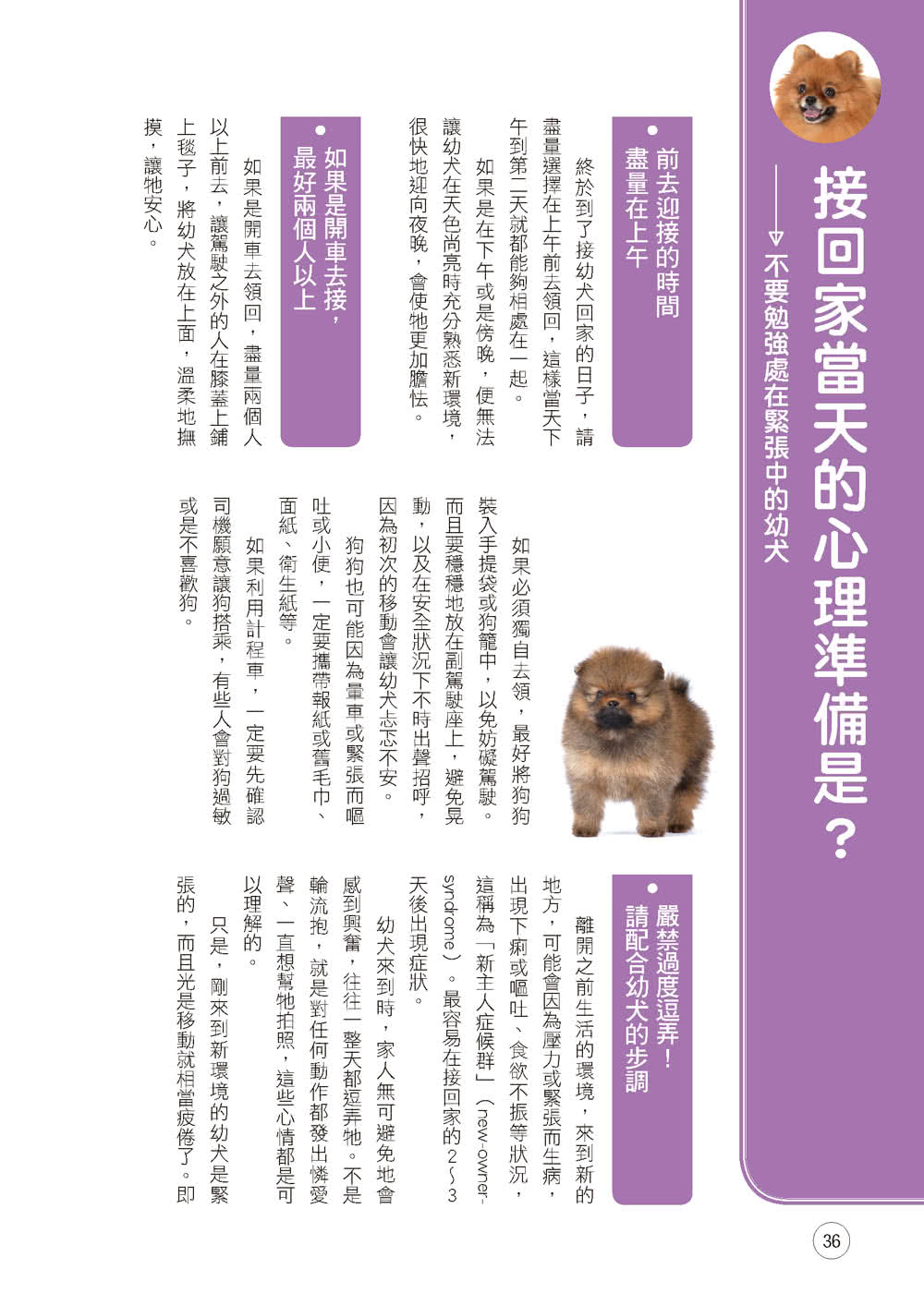 博美犬的快樂飼養法