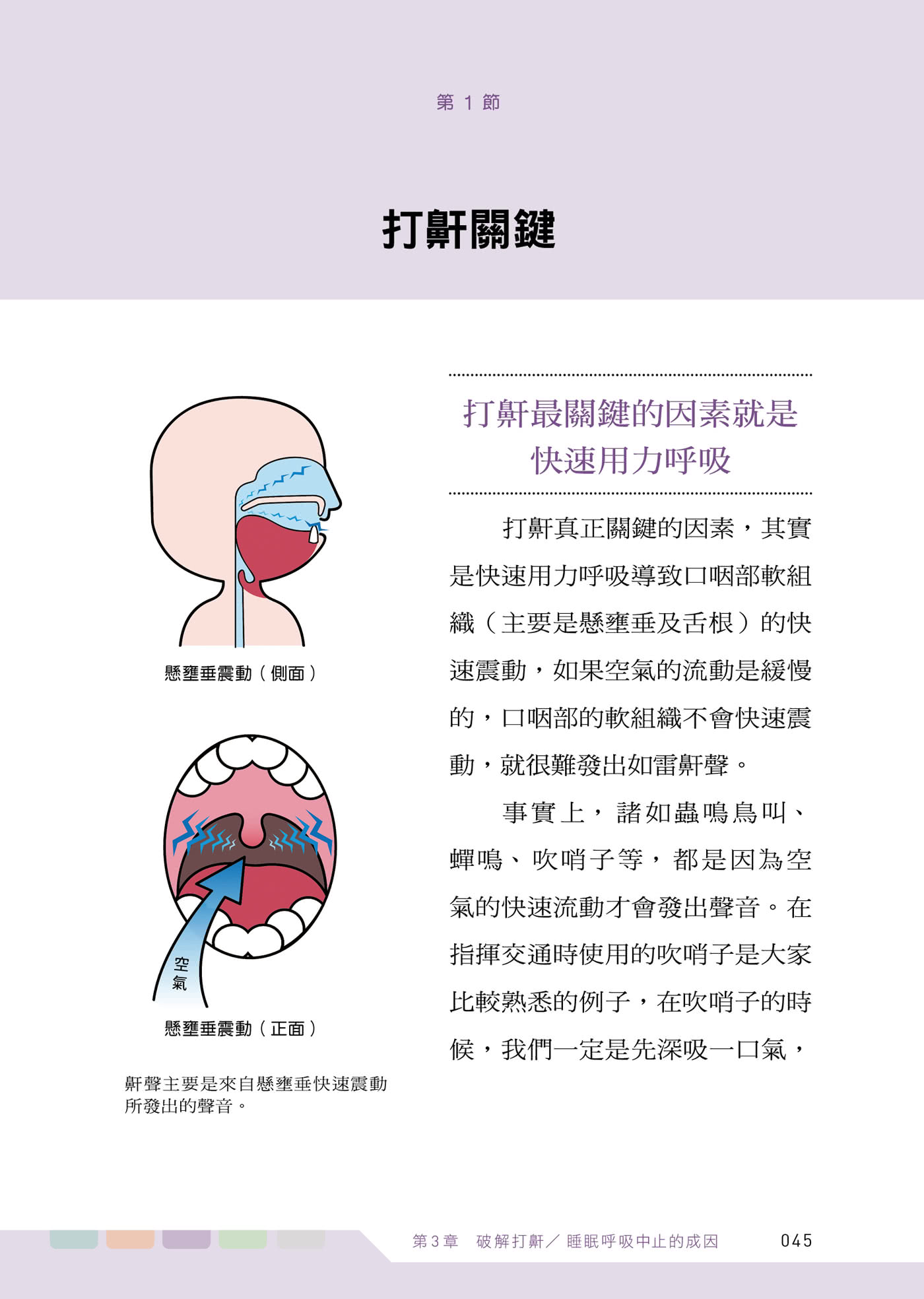 從此不打呼：耳鼻喉科醫師親傳 免開刀、免呼吸器自療秘笈大公開