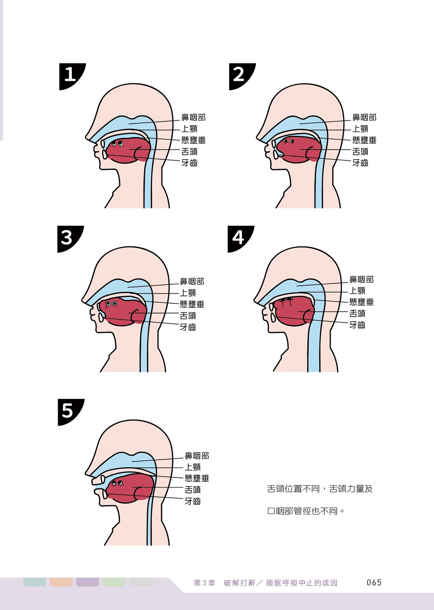 從此不打呼：耳鼻喉科醫師親傳 免開刀、免呼吸器自療秘笈大公開