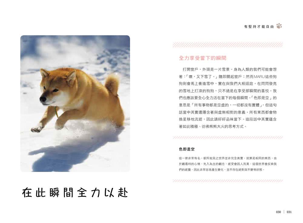 柴犬MARU的汪若心經