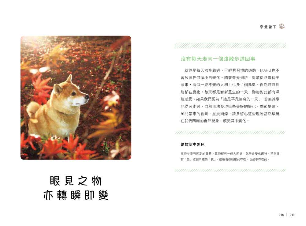 柴犬MARU的汪若心經