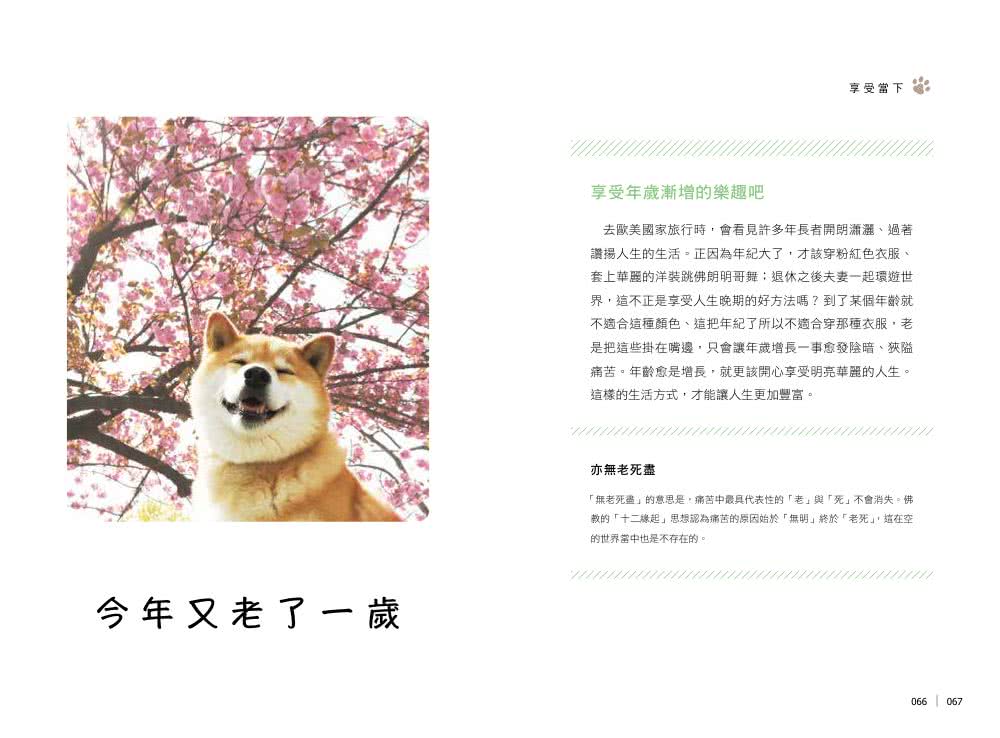 柴犬MARU的汪若心經