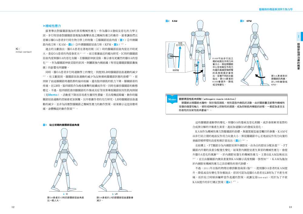 膝關節物理治療實務