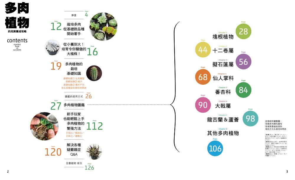 多肉植物的完美養成攻略