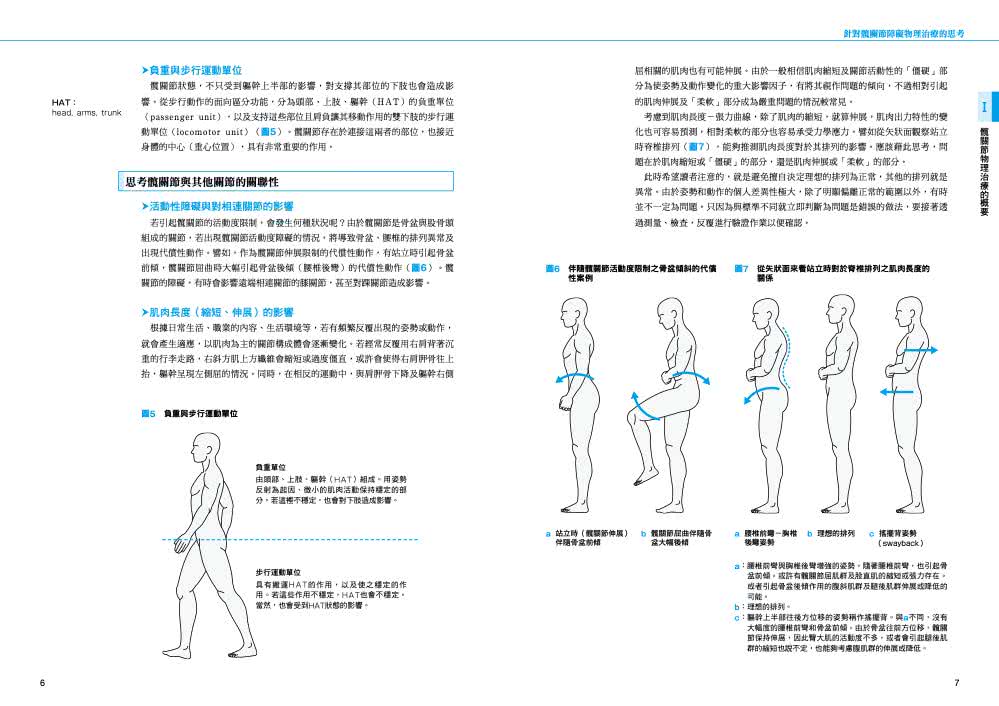 髖關節物理治療實務