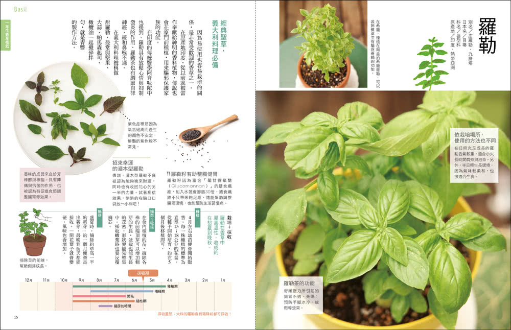 療癒園藝！餐桌的香草植栽全圖鑑﹝暢銷新裝版﹞：史上最強香草全書！161品種+125活用法大公開！