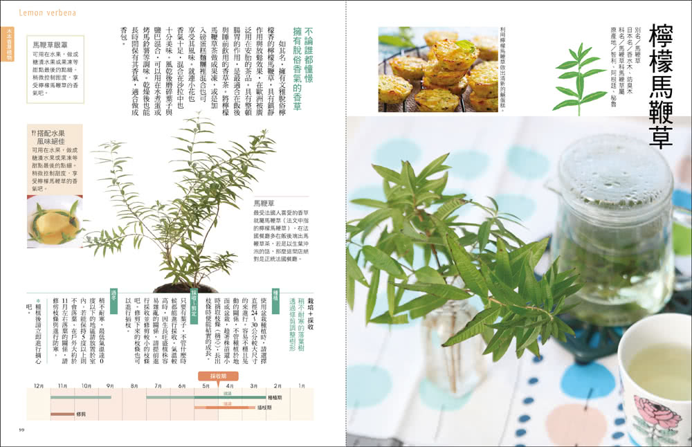 療癒園藝！餐桌的香草植栽全圖鑑﹝暢銷新裝版﹞：史上最強香草全書！161品種+125活用法大公開！