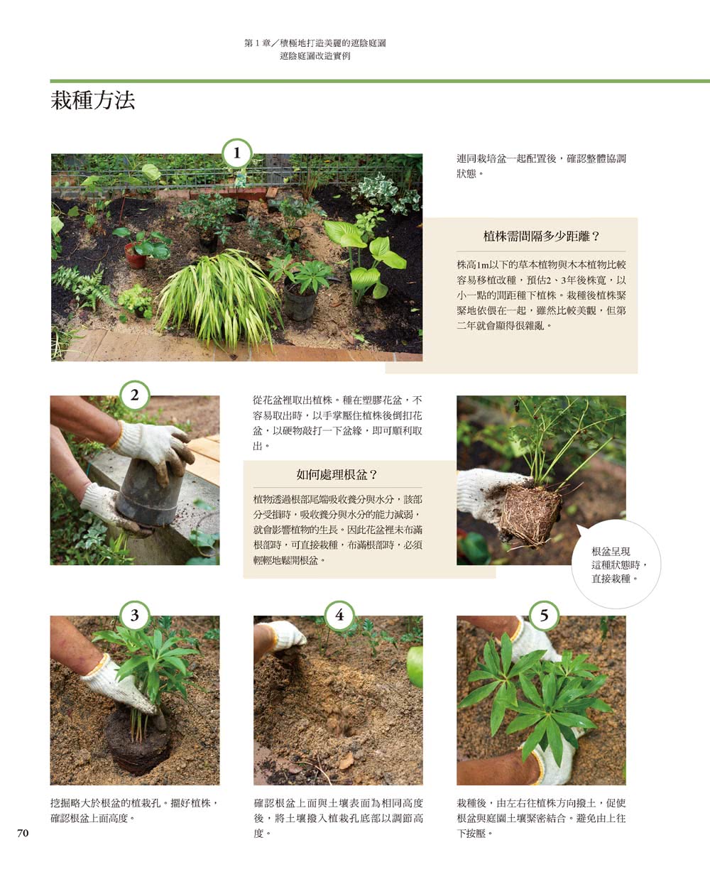 日照不足也ok 以耐陰植物打造美麗庭園 Momo購物網