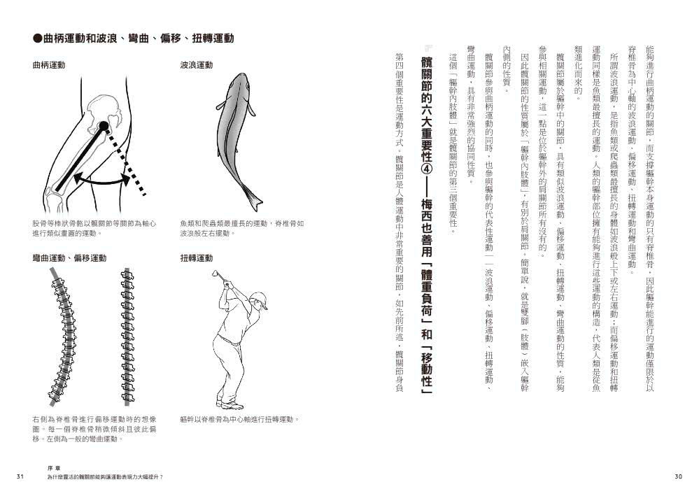 打造髖關節全角度活動力