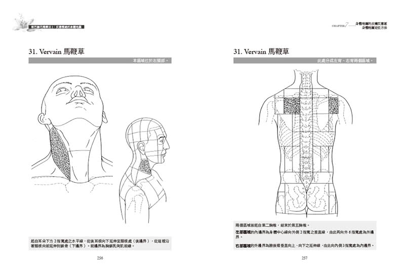 新巴赫花精療法2：反應情緒的身體地圖