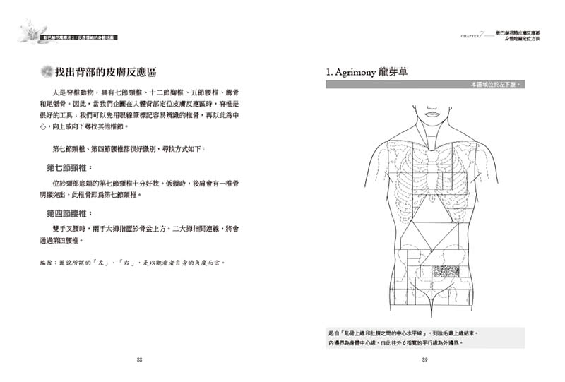 新巴赫花精療法2：反應情緒的身體地圖