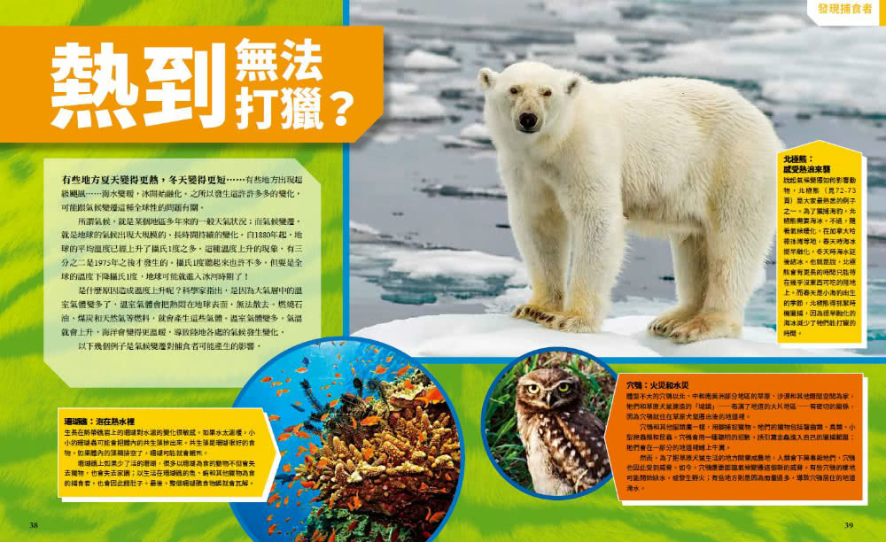 國家地理終極捕食動物百科：有史以來最完整的世界捕食動物大全