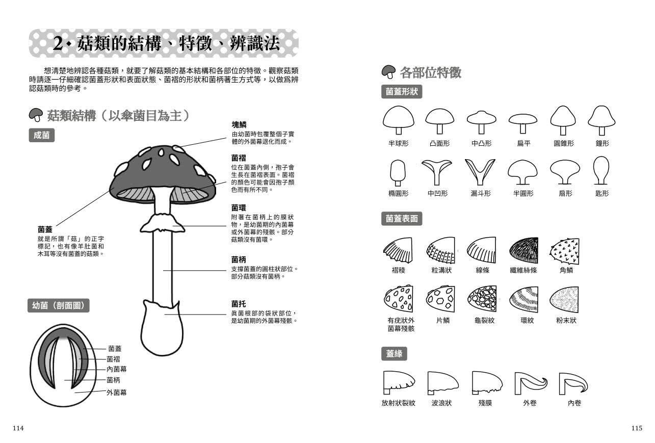 菇菇小學堂：150種菇類觀察入門圖鑑與小常識