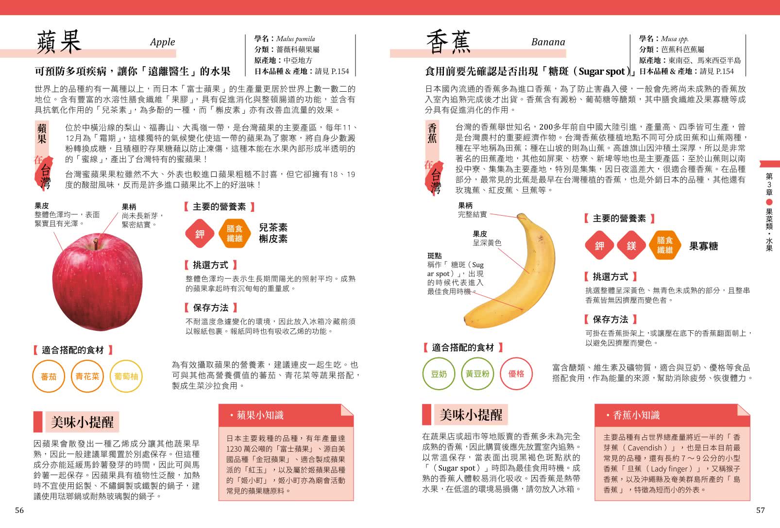 蔬菜小學堂：近100種蔬菜介紹、挑選方式、保存方法與小常識