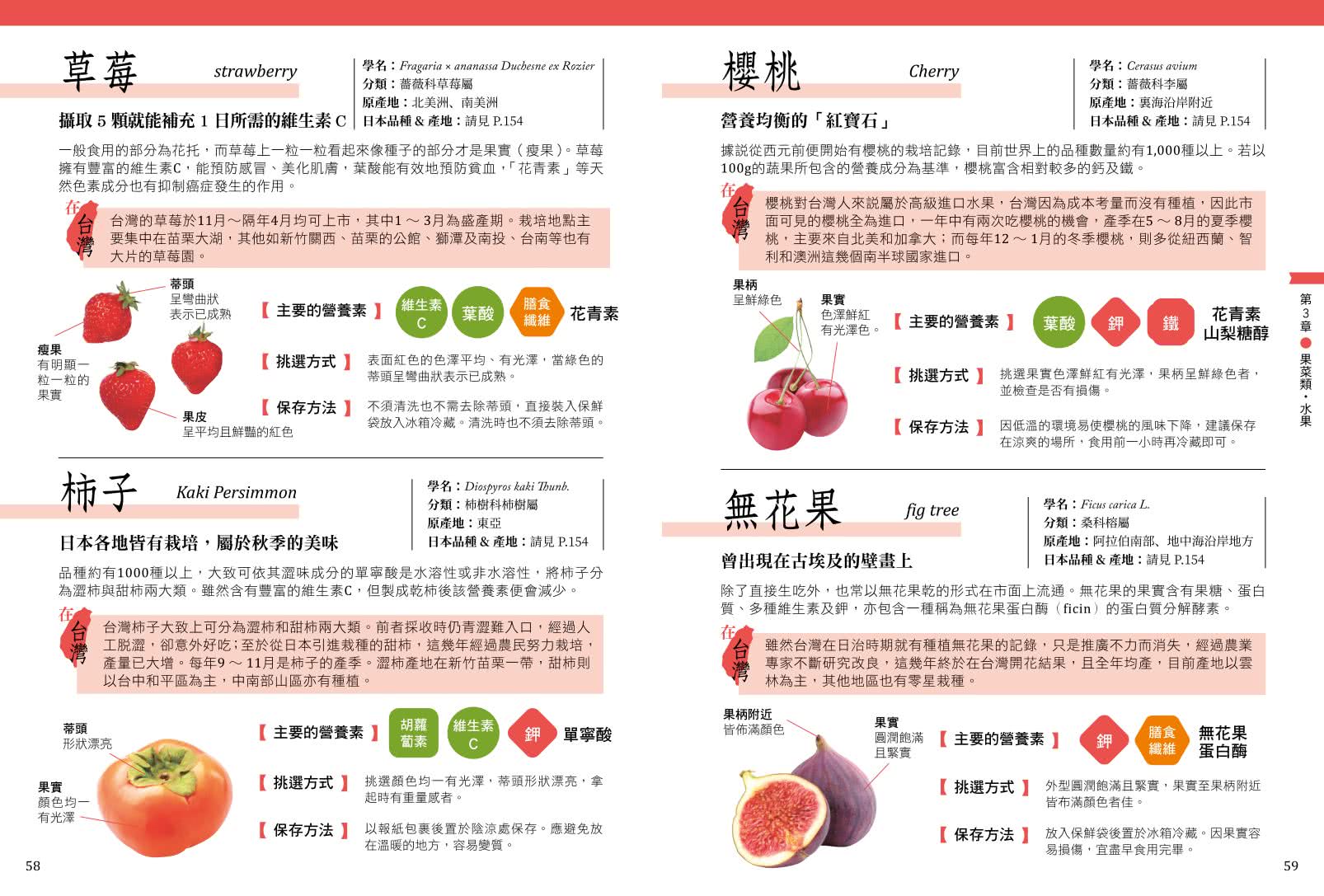 蔬菜小學堂：近100種蔬菜介紹、挑選方式、保存方法與小常識