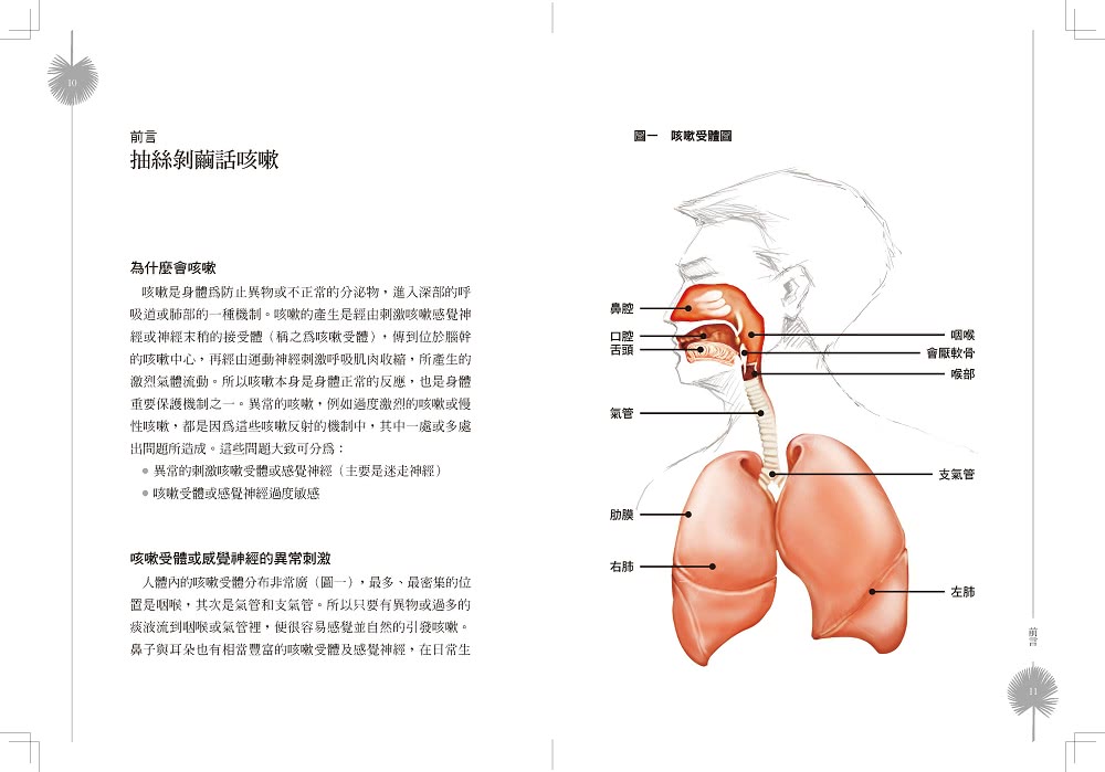 咳不停？循線揪出慢性咳嗽的真相，有效對症治療