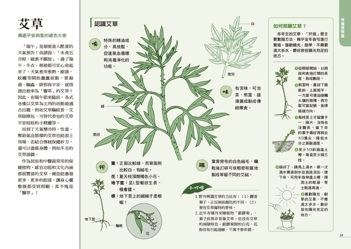 綠生活療癒手冊：100則園藝治療心處方