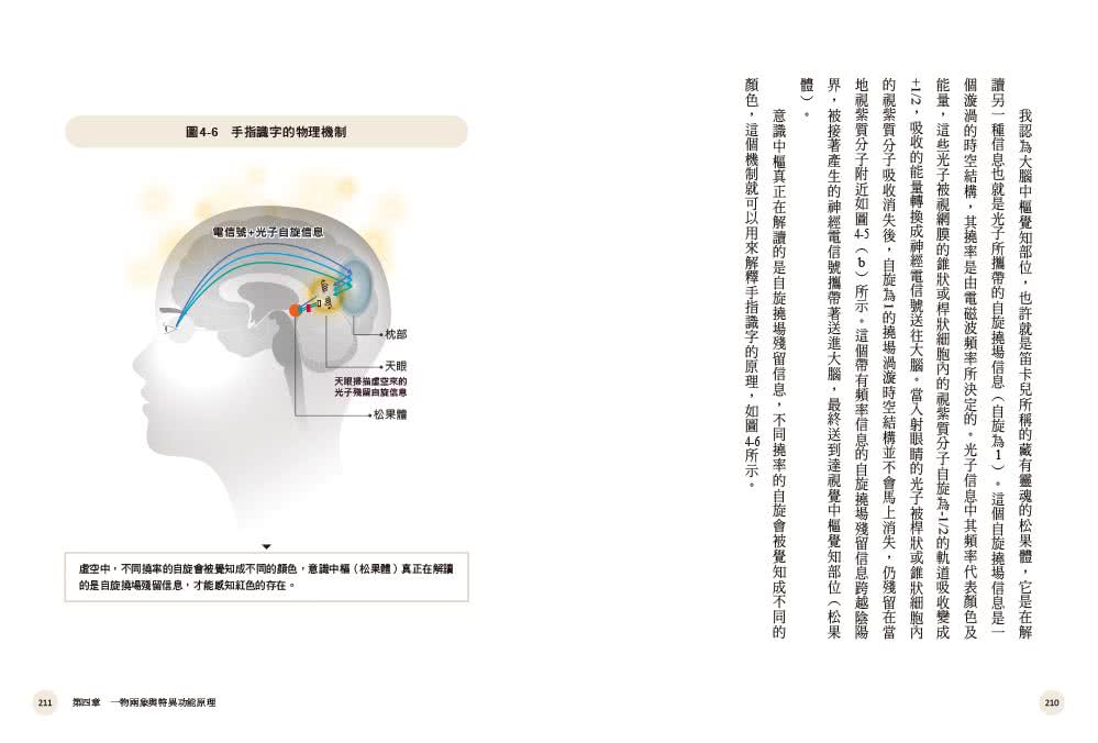 靈界的科學――李嗣涔博士25年科學實證，以複數時空、量子心靈模型，帶你認識真實宇宙