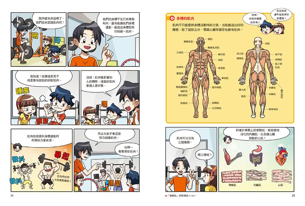 漫畫大英百科【人體醫學3】：人體