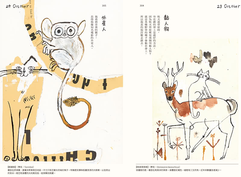 虎斑貓Bon Bon與世界動物朋友的奇遇【首刷限量特典海報＋90天倒數計畫表】：365日，天天都是動物狂歡節